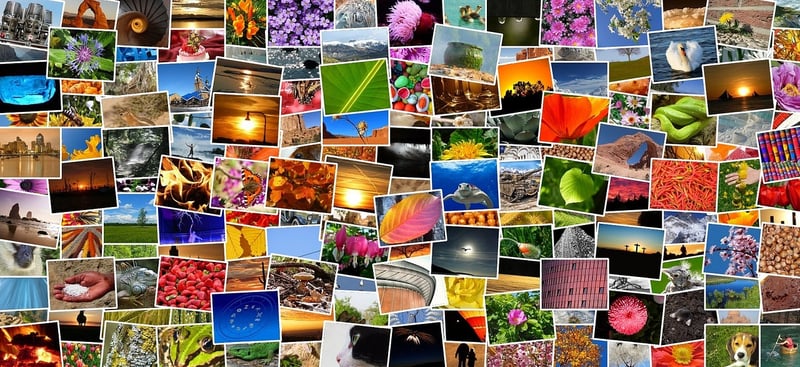Professional Photo Albums